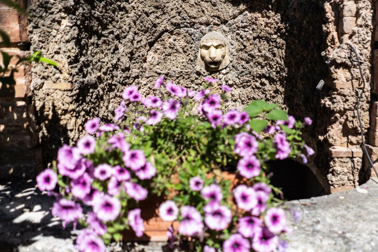 Villa Bonelli シエーナ エクステリア 写真